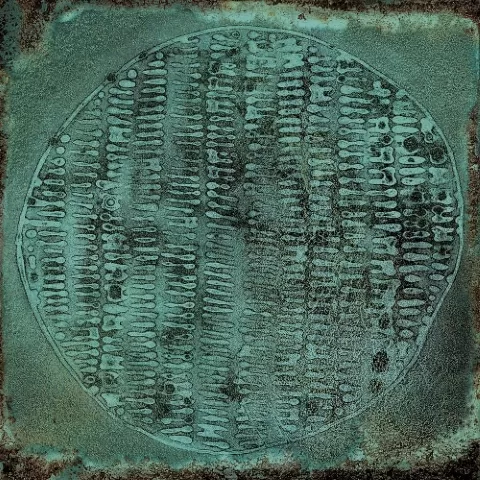 Плитка Carlo Jade-B 20x20