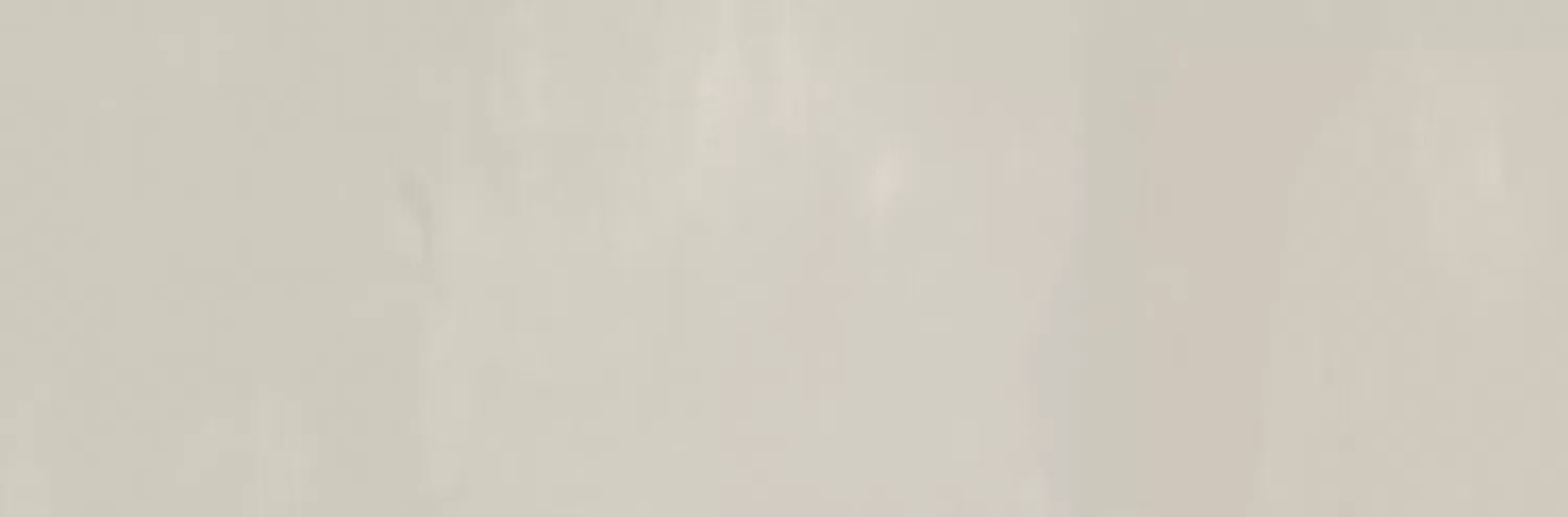Плитка 24406 PALETTE TAUPE/32X90/R