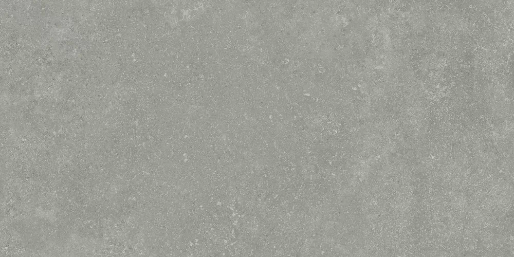 Керамогранит Granite Gloria Gray / Граните Глория Серый SR 120x60
