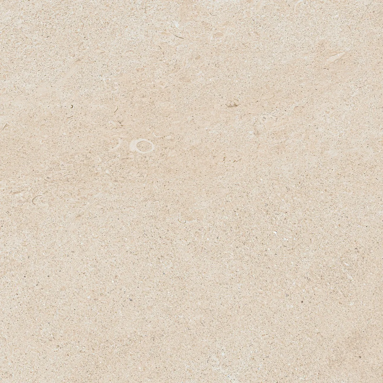 Керамогранит 610010005835 Forte dei Marmi Rock Siberian Ivory Lastra 20mm 60x60