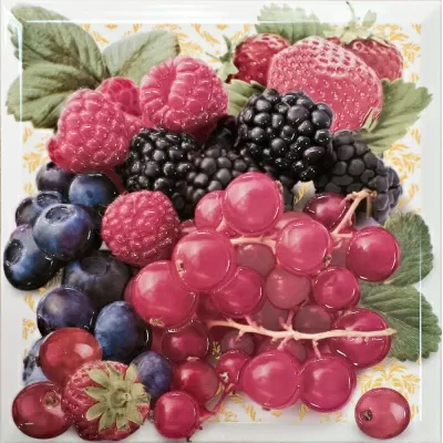 Плитка Decorado Multi Frutti Pano 30x30