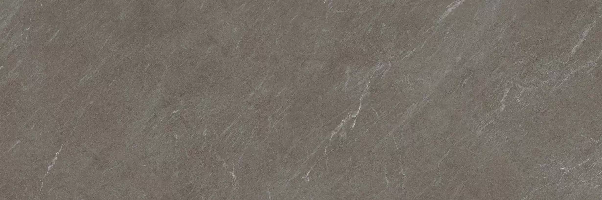 Керамогранит 314393 Avenue Taupe Rect Silk 100x300