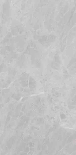 Керамогранит P612498 Gris De Savoie Soft 60x120