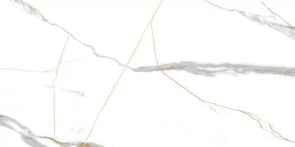 Керамогранит PRO 1059G Roma Grigio Gloss 1200x600