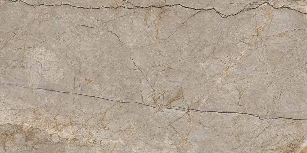 Керамогранит 17124 Silver Roots серый матовый ректификат 60x120