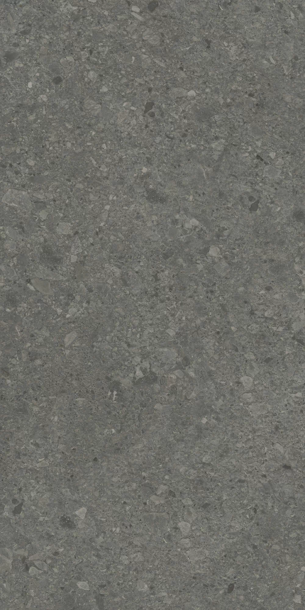 Керамогранит DD508020R Чеппо ди Гре антрацит матовый обрезной 60x119,5x0,9