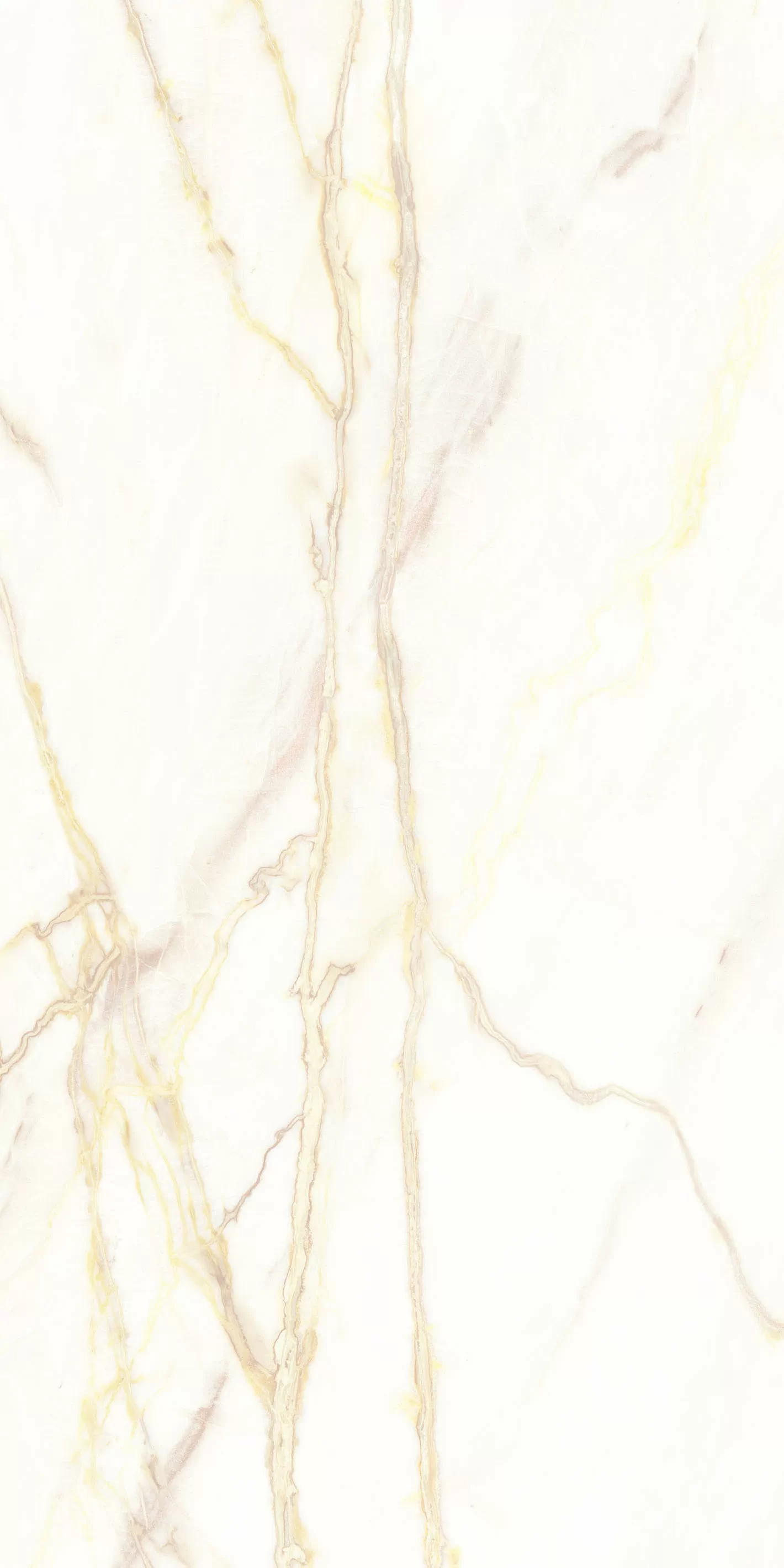 Керамогранит 769470 Chimera Empatia Bianco Glossy Ret 6mm 60x120