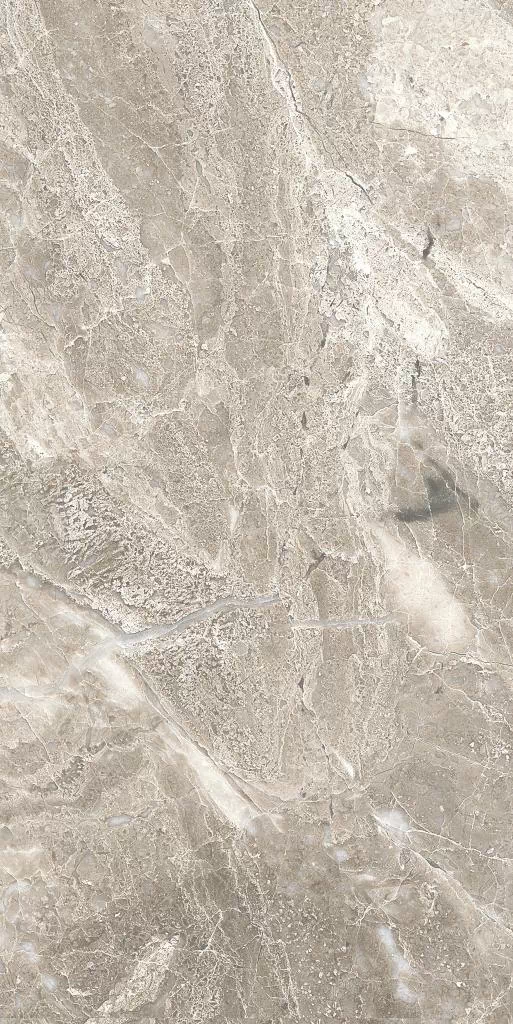 Плитка 5 GA 0016 Гарда 0016 25x50