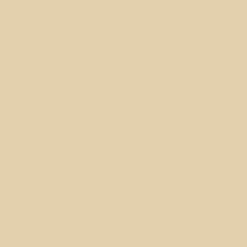 Керамогранит Cielo e Terra Sabbia MAT R10 59.8x59.8