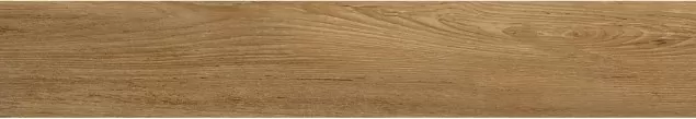 Керамогранит ENWD1054SR20120 Oakland Ginger Matt Relief 120x20x0.9