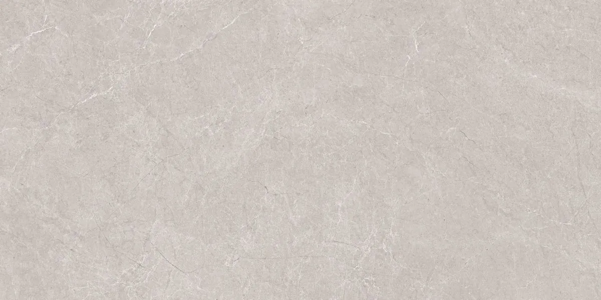 Керамогранит N20555 Aristo Grey Tm 60x120