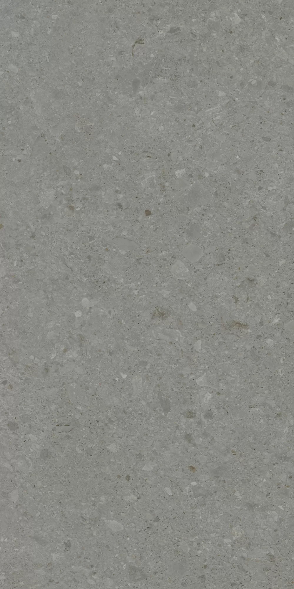 Керамогранит DD507920R Чеппо ди Гре серый тёмный матовый обрезной 60x119,5x0,9