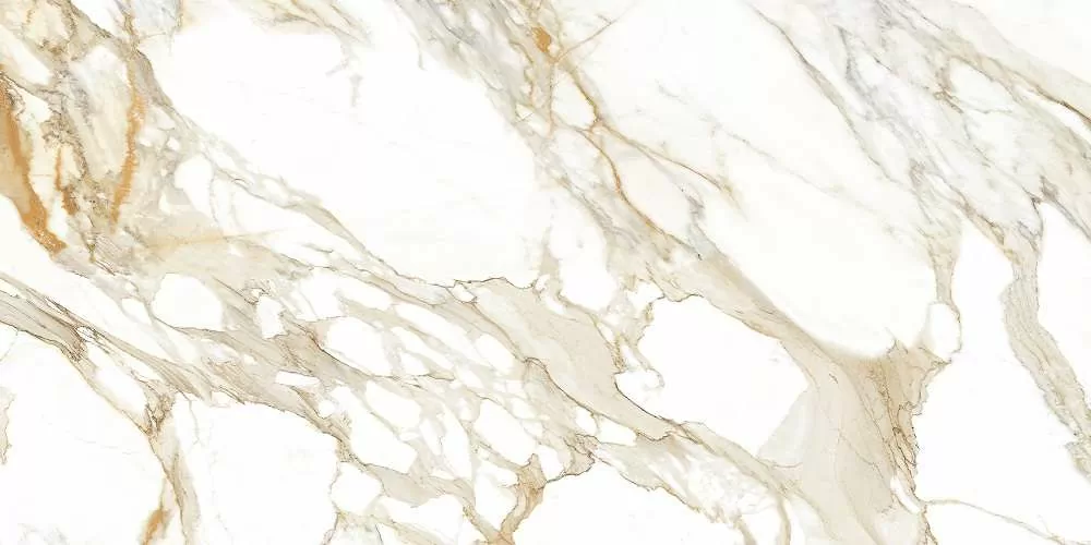 Керамогранит Calacata Paonazzo 1200x600