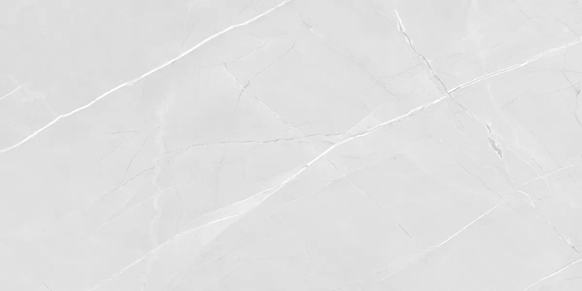 Керамогранит PRO 1166G Armani Bianco 1200x600