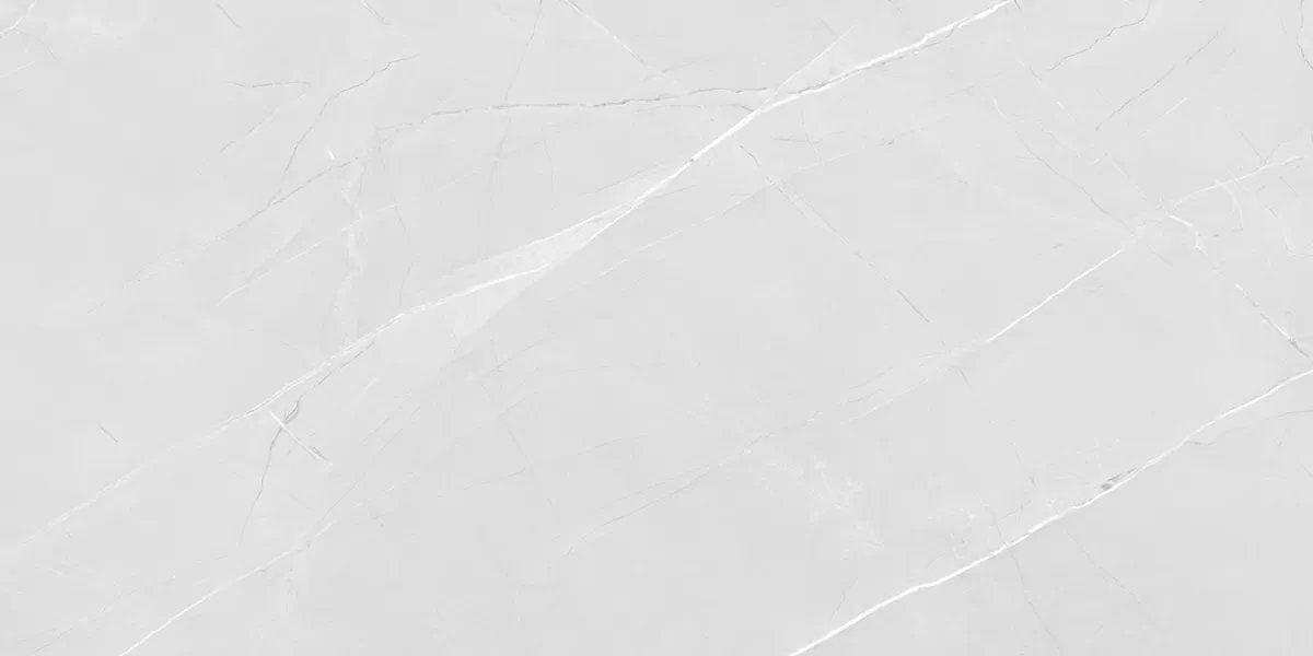 Керамогранит PRO 1166G Armani Bianco 1200x600