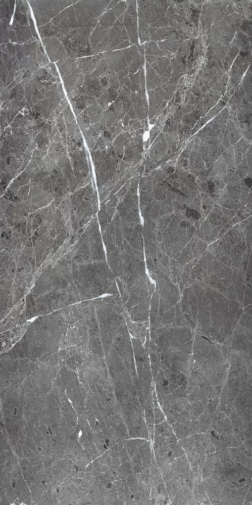 Керамогранит PR208 Ardesia Grafito Polished 600x1200