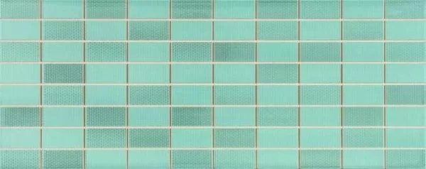 Плитка MKCZ Mosaico 20х50