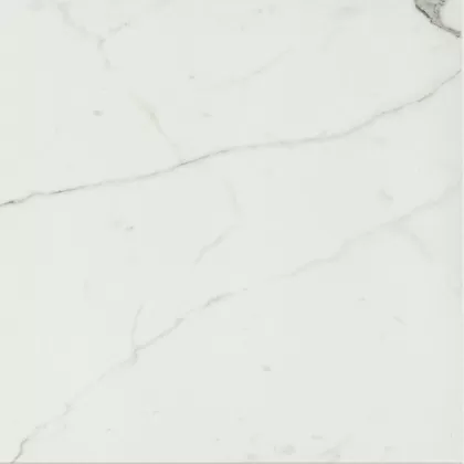 Керамогранит 746855 Timeless Calacatta Luc Ret 60x60