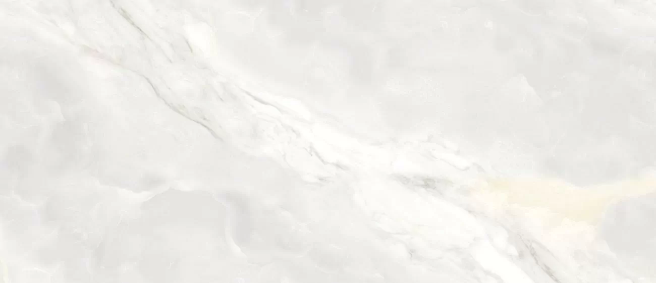Керамогранит Onyx White Glossy 120х278