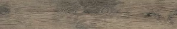 Керамогранит Northwood Elm 20x120