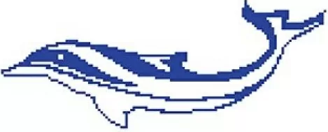 Мозаика Y143-3 Porcelain Mosaic Design Dolphin-1 5x5 (270x660)