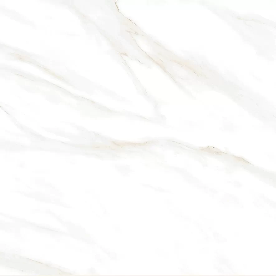 Керамогранит Calacatta Clarity Gold Белый Матовый 60х60