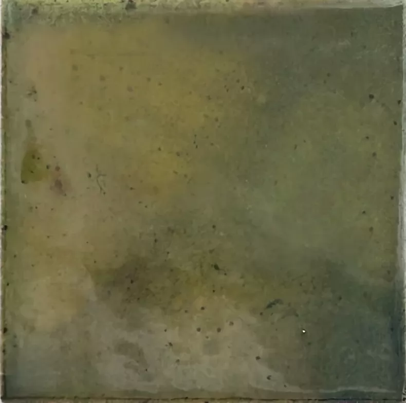 Плитка 30014 Wild Olive 10х10