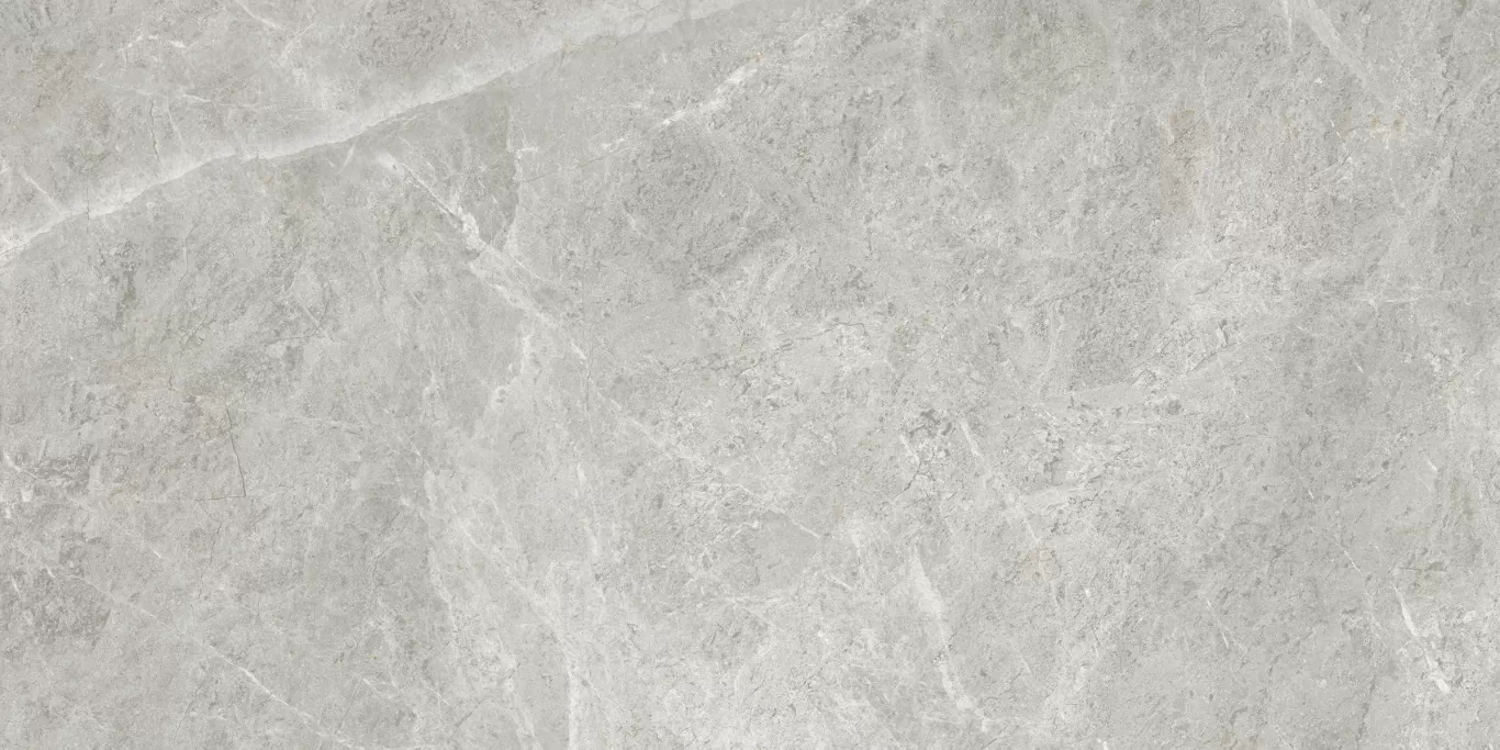 Керамогранит ETSTN1236GL60120 Baltic Grey Glossy 60x120