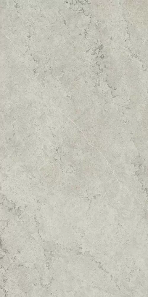 Керамогранит 610010002343 Metropolis Absolut Silver Nat Rett 80x160