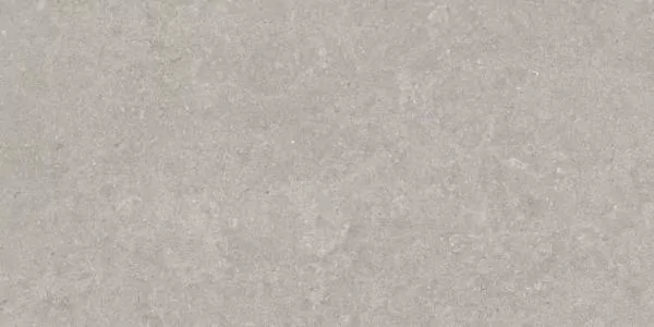 Керамогранит 31751 Grey AS 60x120