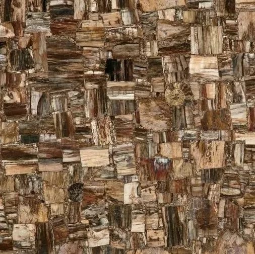 Керамогранит MC-SP10 Petrified Wood (Party) (Compound With Granit) 100x100