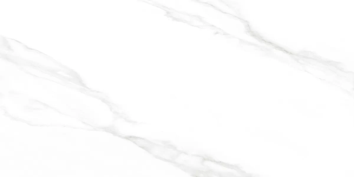 Керамогранит Carrara Excellent Silver Белый Матовый 60х120