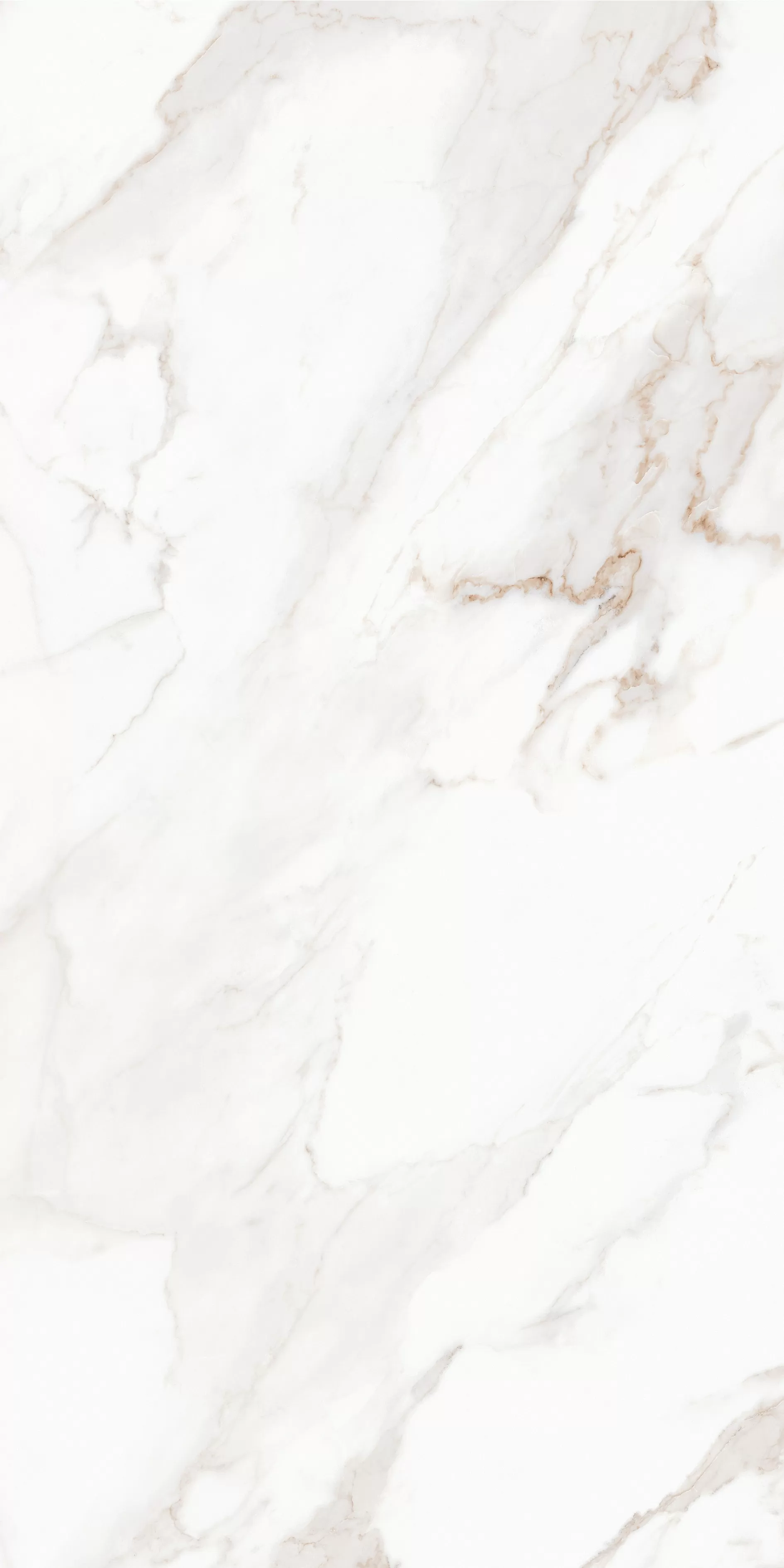 Керамогранит MPL-058632 Calacatta Satin 80x160