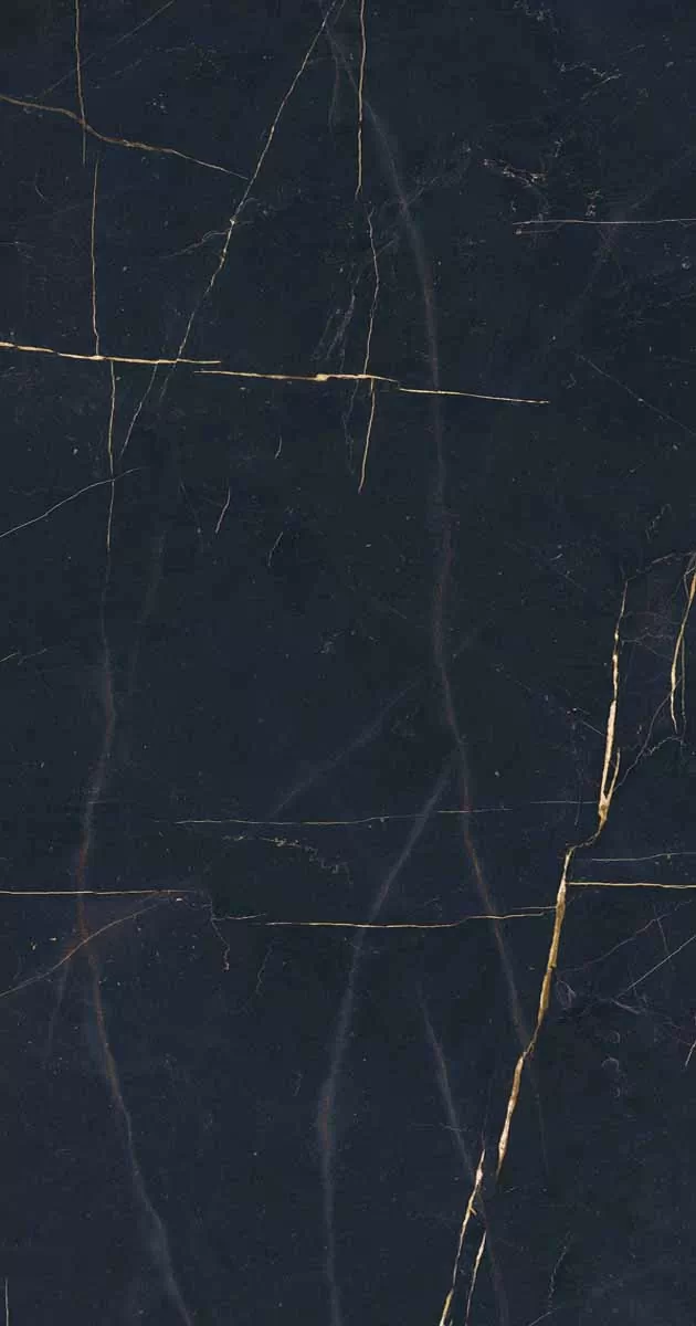 Керамогранит PF60011003 Precious Black Lux Ret 60x120