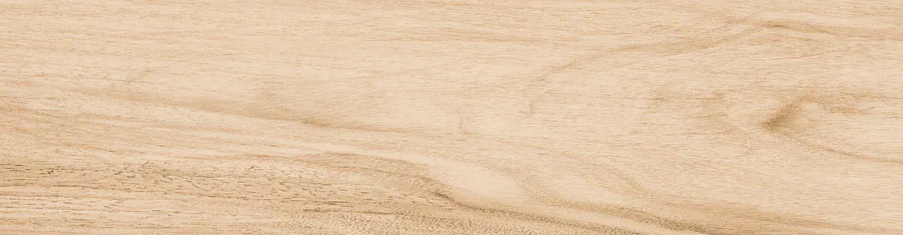 Керамогранит 0045 NATALINA 60х15х08