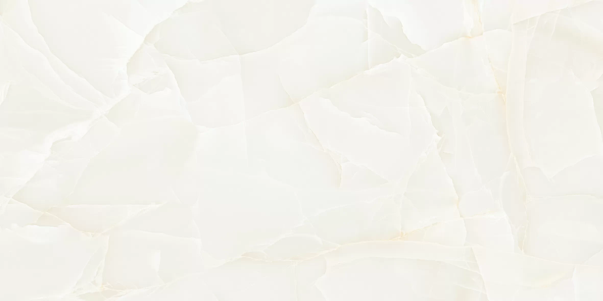Керамогранит NTT99504P Onyx Predo 60x120