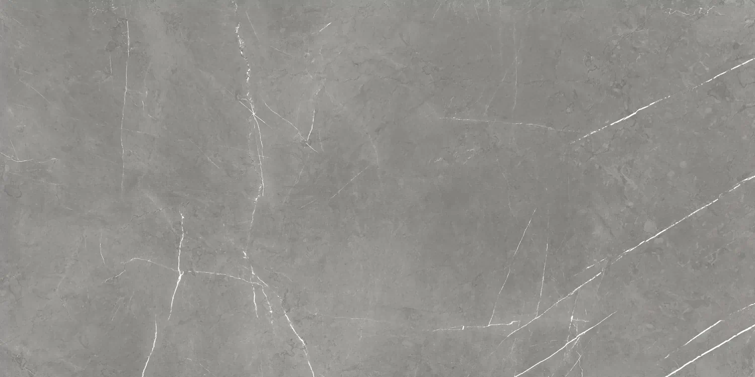 Керамогранит 610015000657 Forte dei Marmi Elegant Grey Rett Cer 60x120