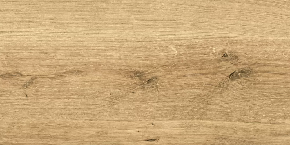 Керамогранит C-WS4O112D Woodhouse коричневый 29,7х59,8