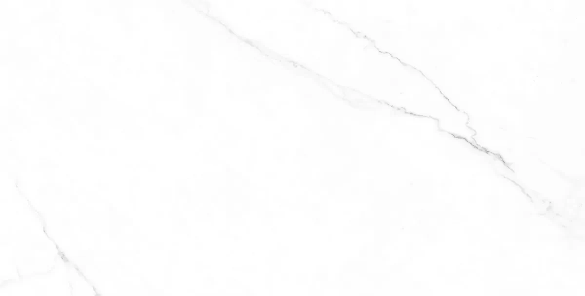 Керамогранит ENMAR1005MT60120 Carrara Bianco Matt 120x60x0.9