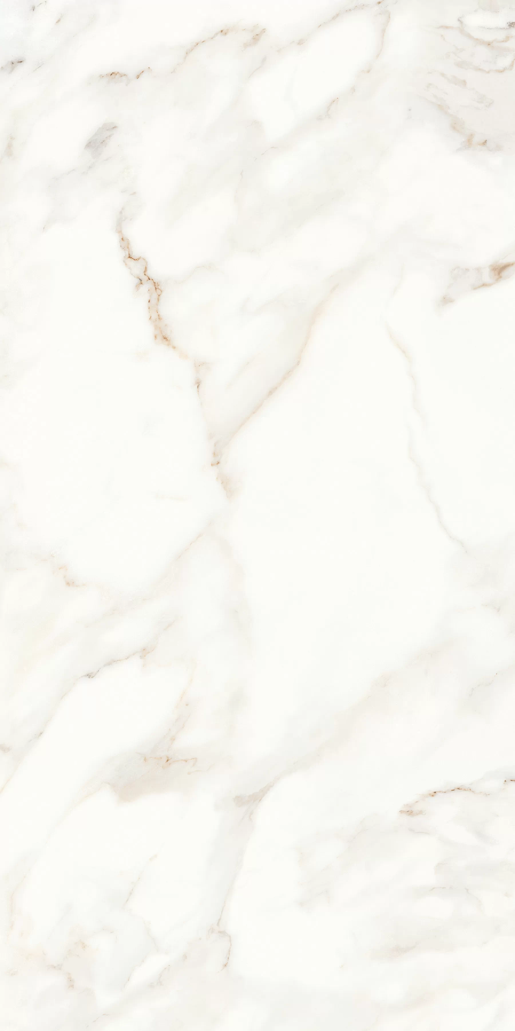 Керамогранит MPL-058622 Calacatta Satin 60x120