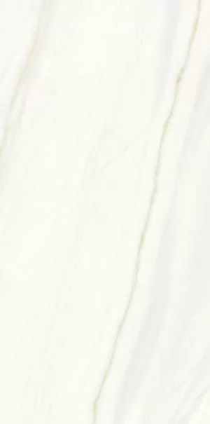 Керамогранит PL612480 Bianco Covelano Lucidato 60x120