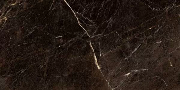 Керамогранит P10854.6 Java Brown PLSH Rec 60x120