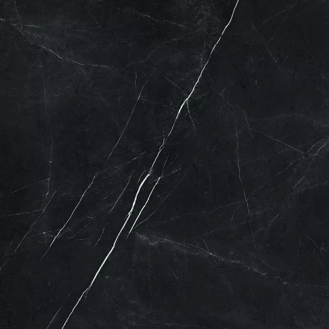 Керамогранит 600010002409 Forte dei Marmi Elegant Black Matt Rett 120x120