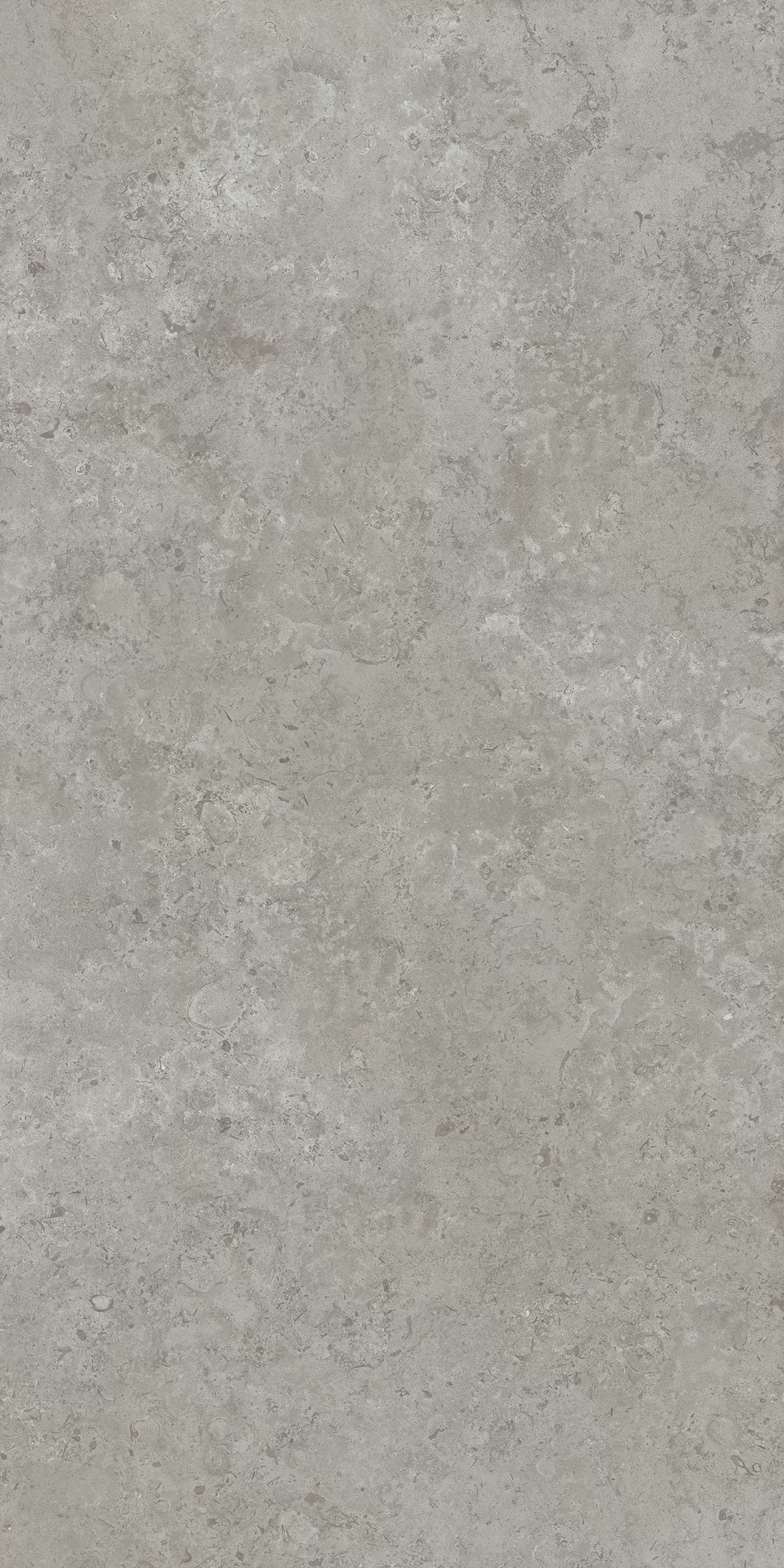 Керамогранит DD590600R Про Лаймстоун АТ серый натуральный обрезной R10 119,5х238,5