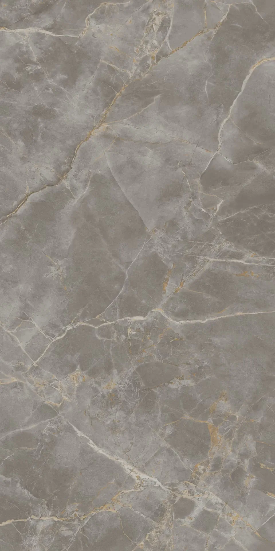 Керамогранит AJRW Fior di Bosco Bookmatch Lappato 160x320