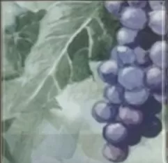 Плитка Monocolor Composicion Acuarela Uvas 20х40