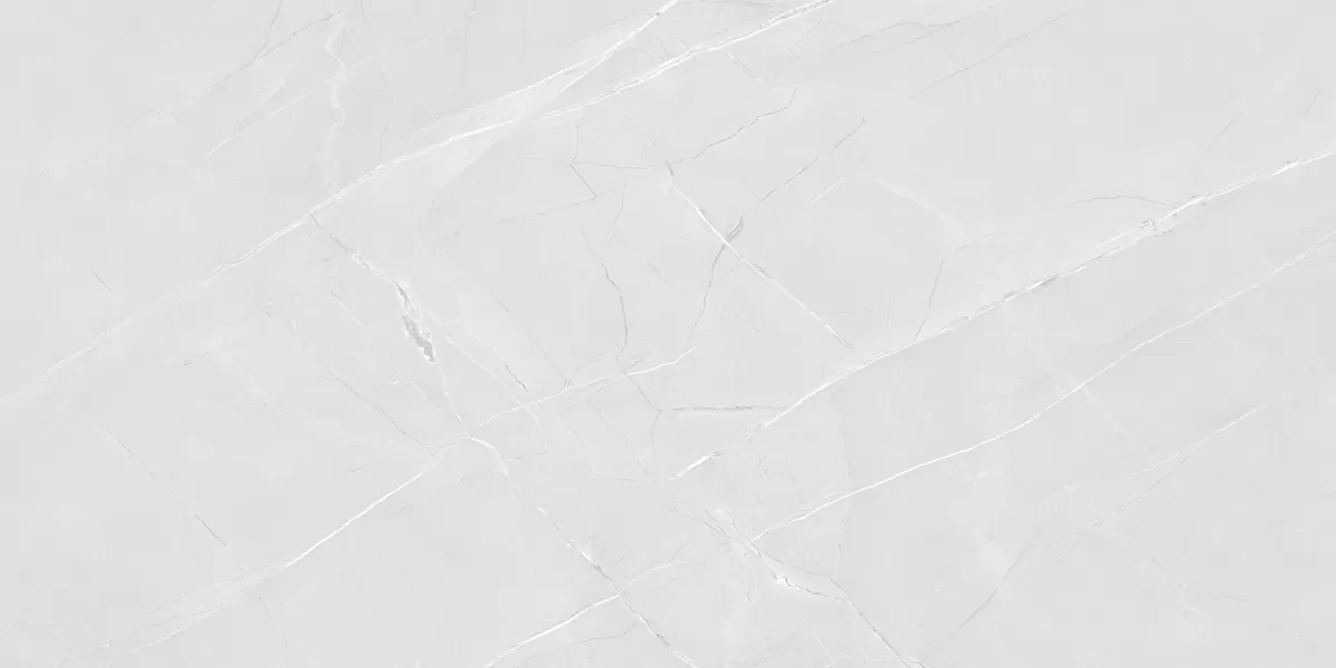 Керамогранит PRO 1166G Armani Bianco 1200x600