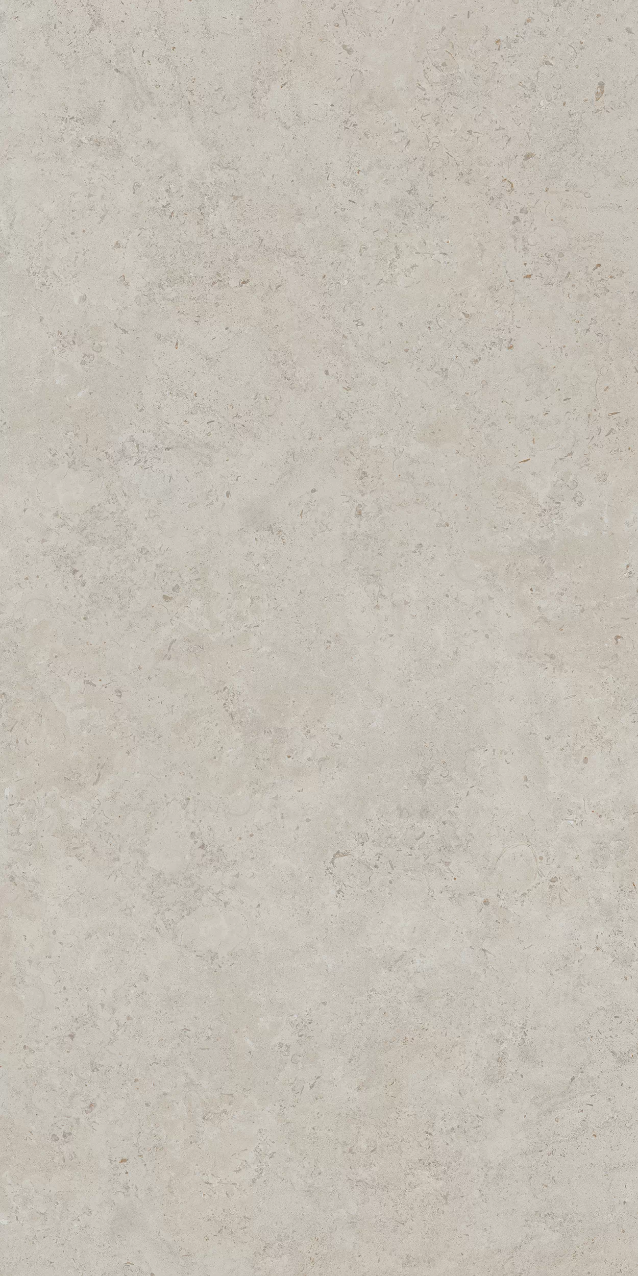 Керамогранит DD590400R Про Лаймстоун АТ бежевый натуральный обрезной R10 119,5х238,5