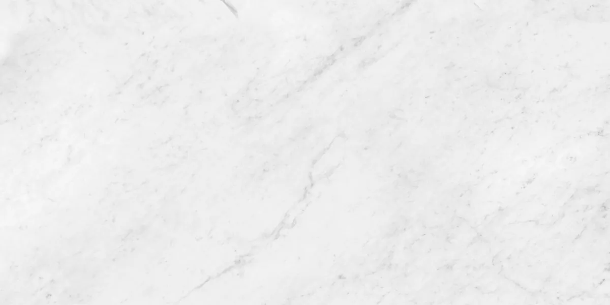 Керамогранит N12033 Antique Bianco Polished 60x120