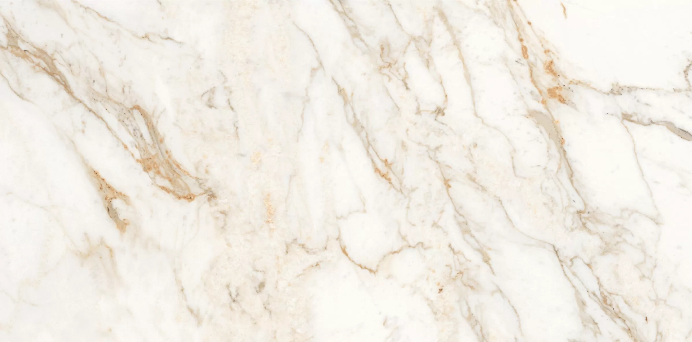 Керамогранит Calacatta Oro полированный 60x120